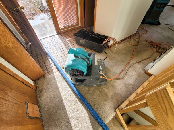 Best Emergency water damage restoration  in Chester, CA