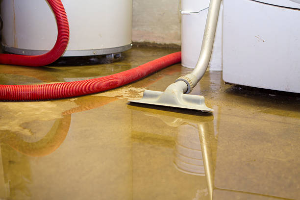 Best Sewage cleanup and water damage restoration  in Chester, CA
