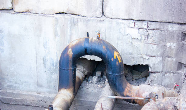 Best Flood damage cleanup  in Chester, CA