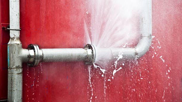 Best Water damage contractors near me  in Chester, CA