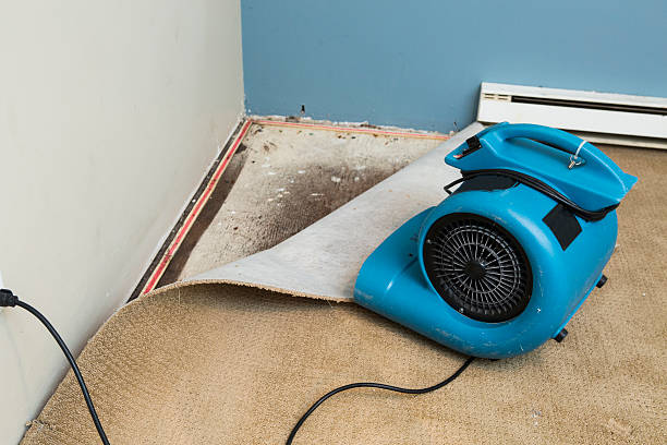 Best Water damage mitigation services  in Chester, CA